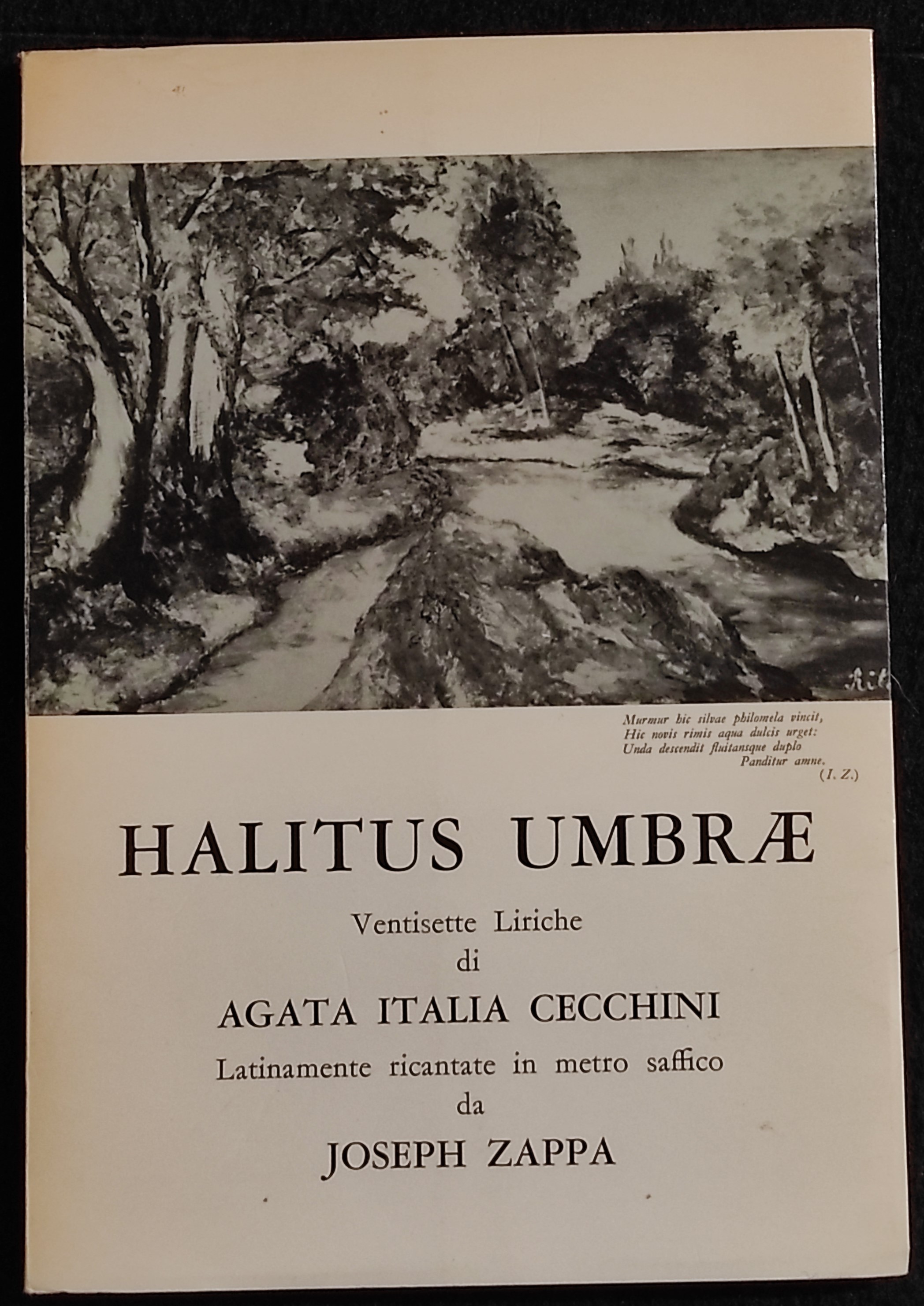Halitus Umbrae