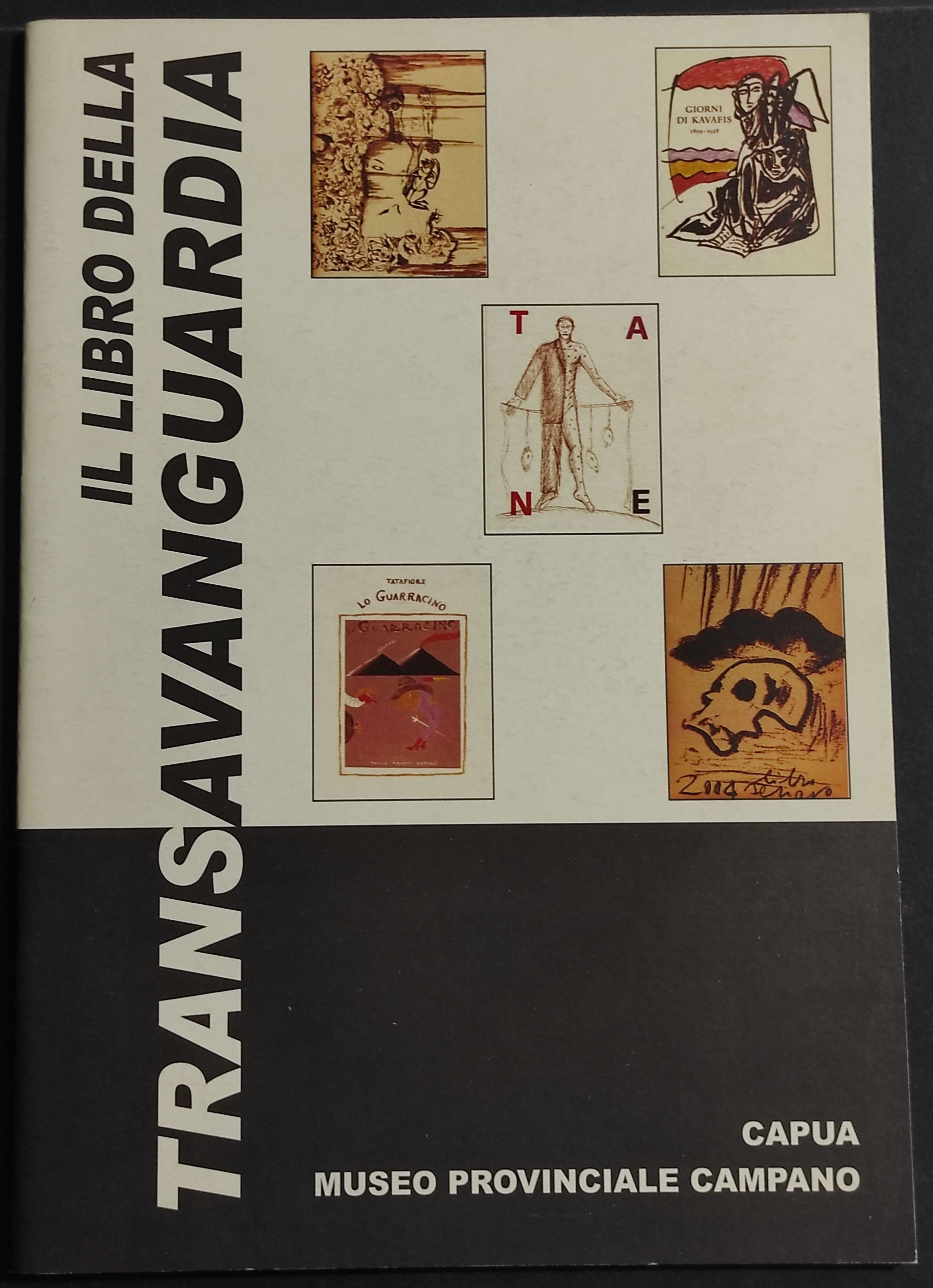 Il Libro della Transavanguardia