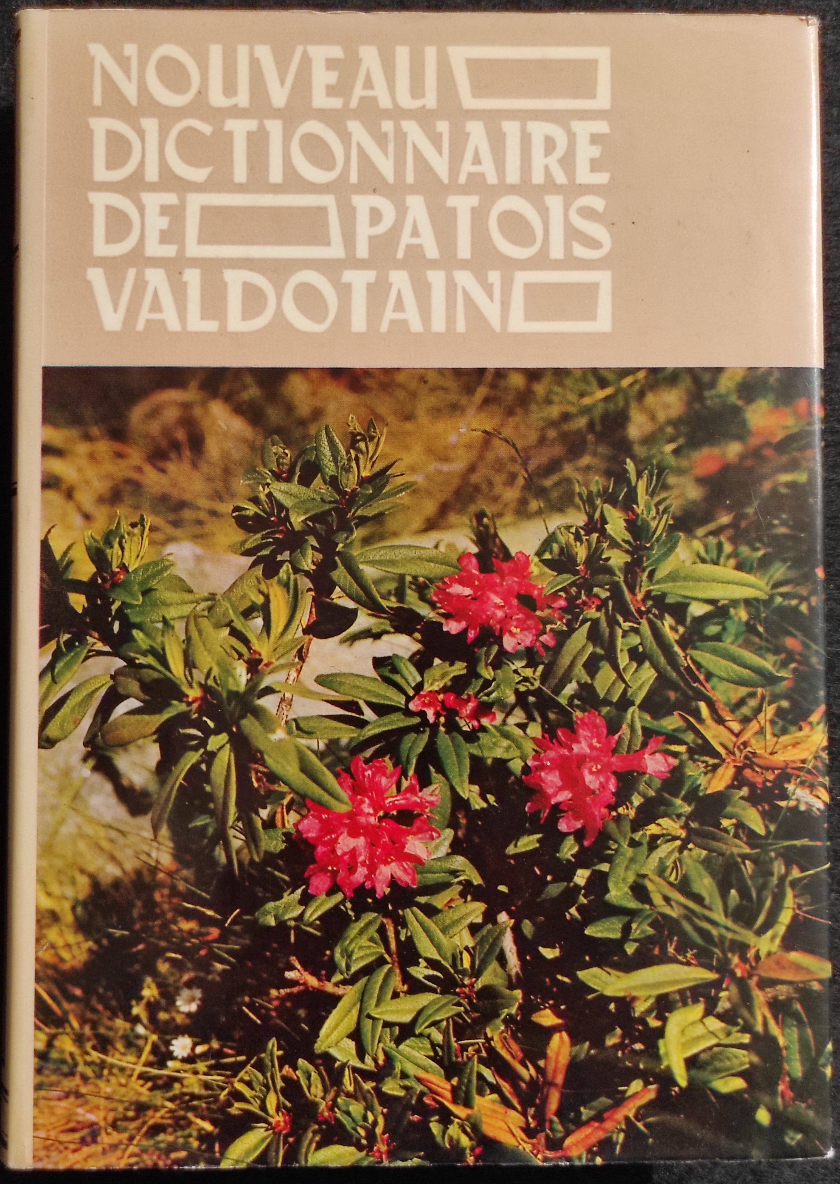 Nouveau Dictionnaire de Patois Valdotain