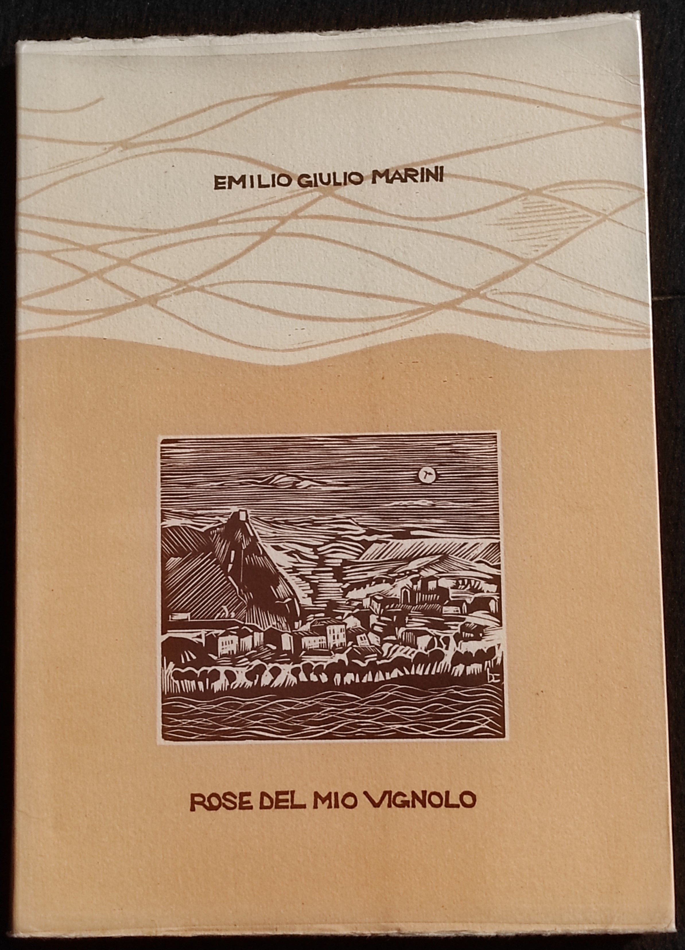Rose del Mio Vignolo
