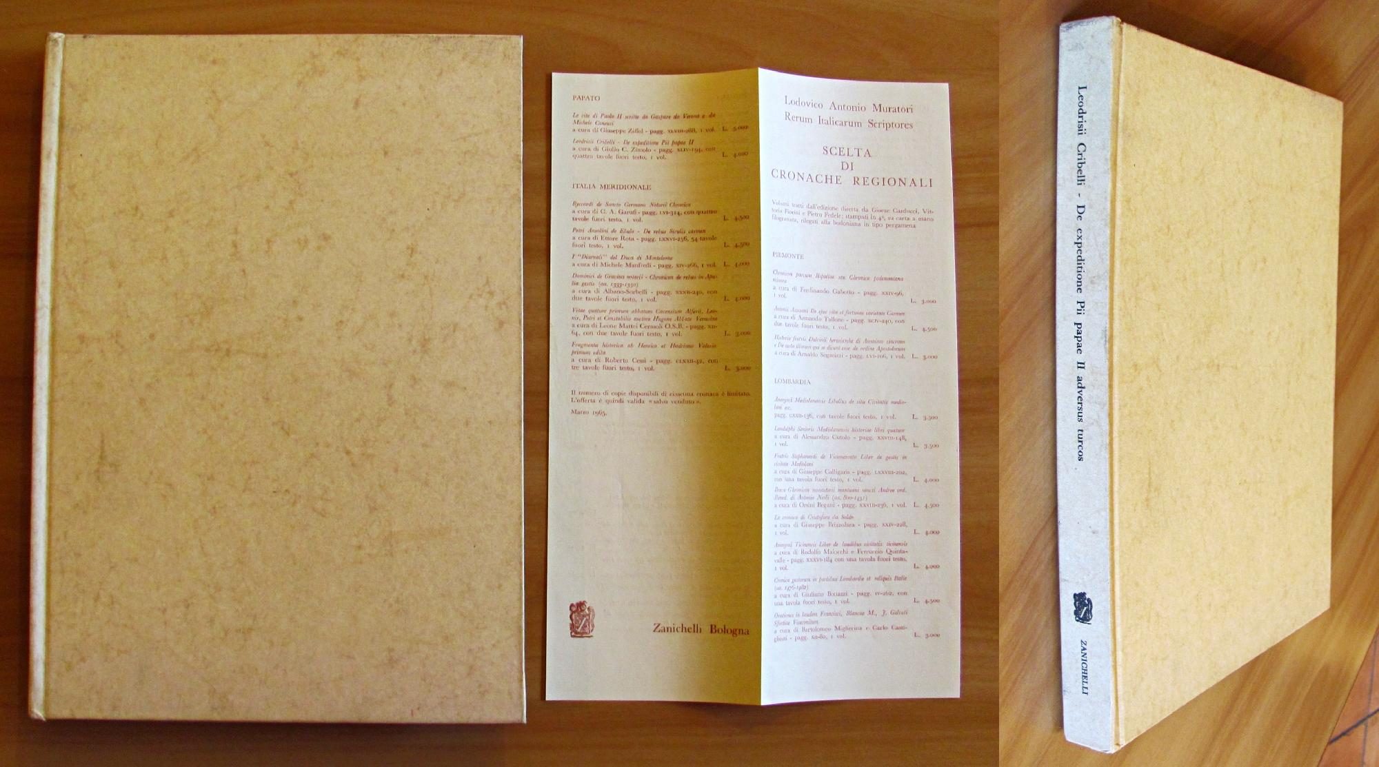 DE EXPEDITIONE PII PAPAE II ADVERSUS TURCOS