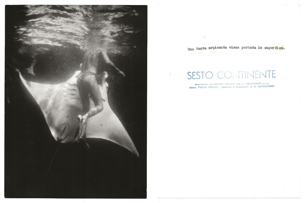 FOTO per SESTO CONTINENTE - Una Manta arpionata da VAILATI …