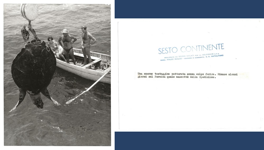 FOTO per SESTO CONTINENTE di FOLCO QUILICI - Cattura di …