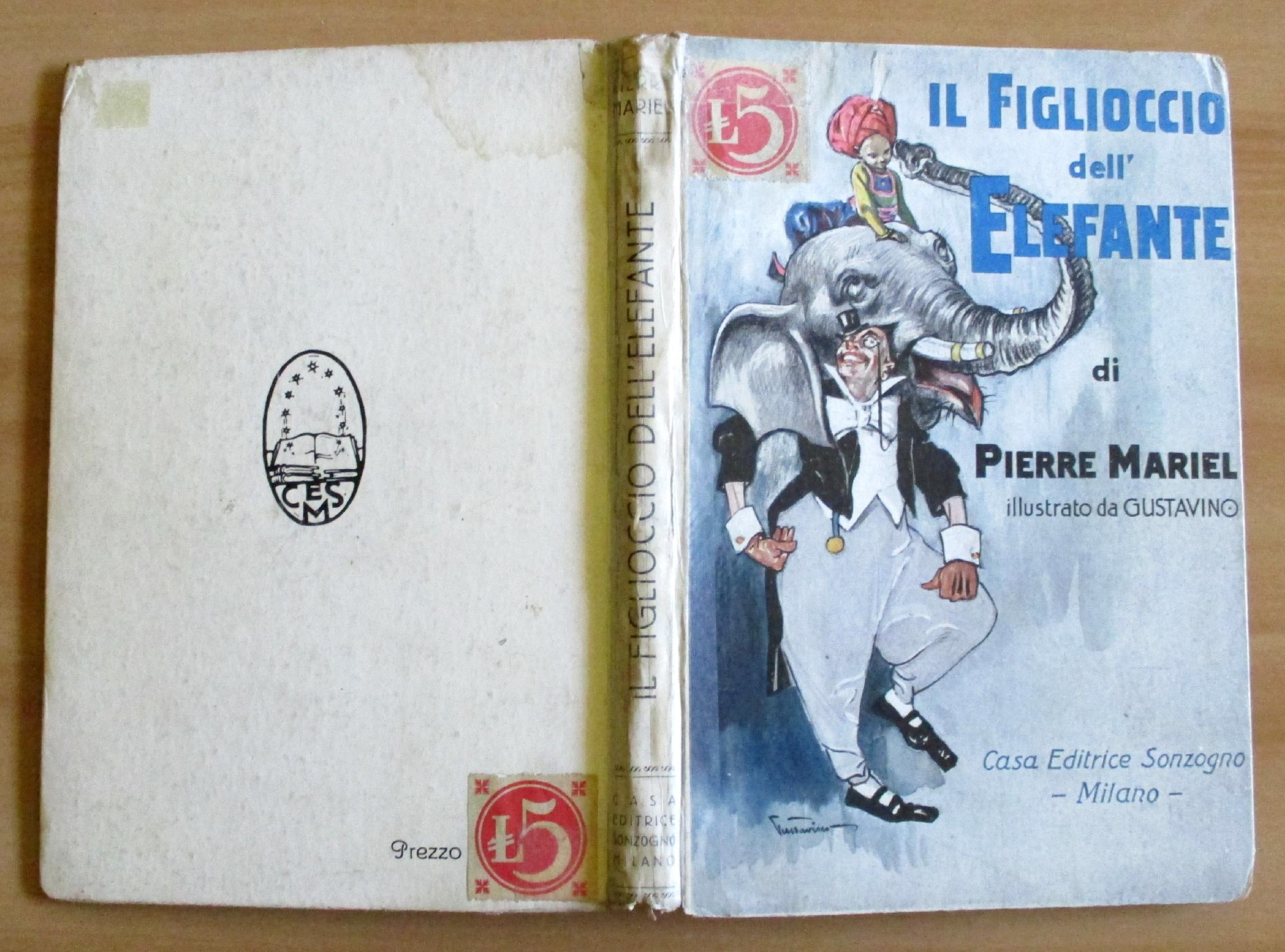 IL FIGLIOCCIO DELL'ELEFANTE