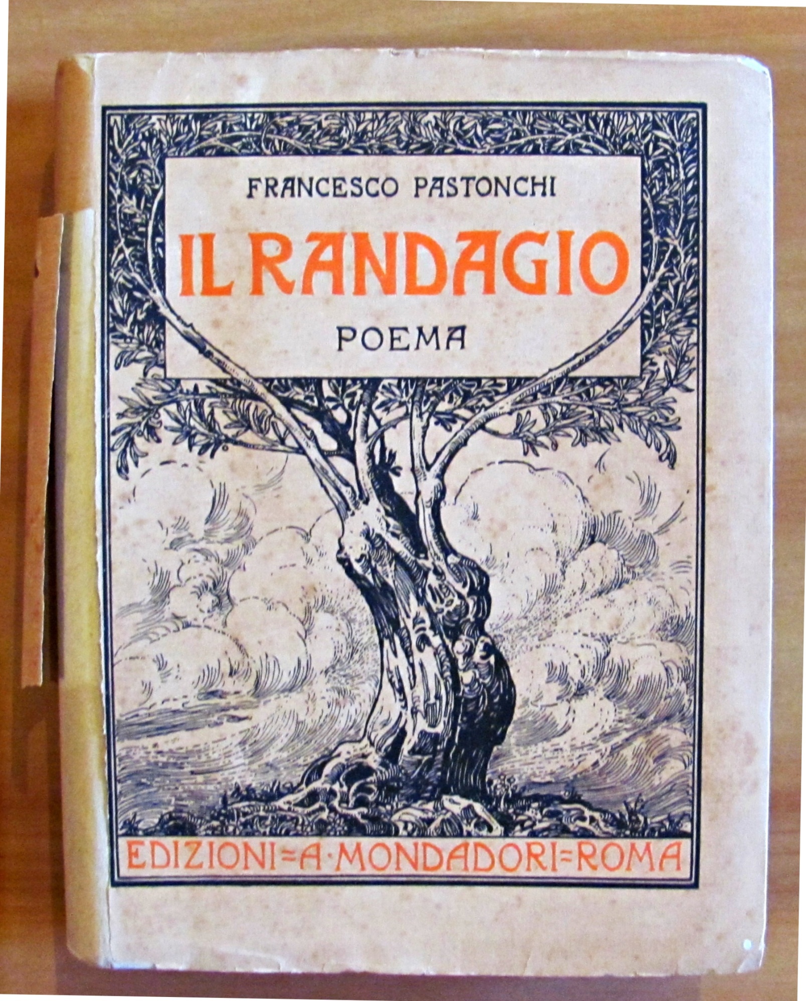 IL RANDAGIO - POEMA