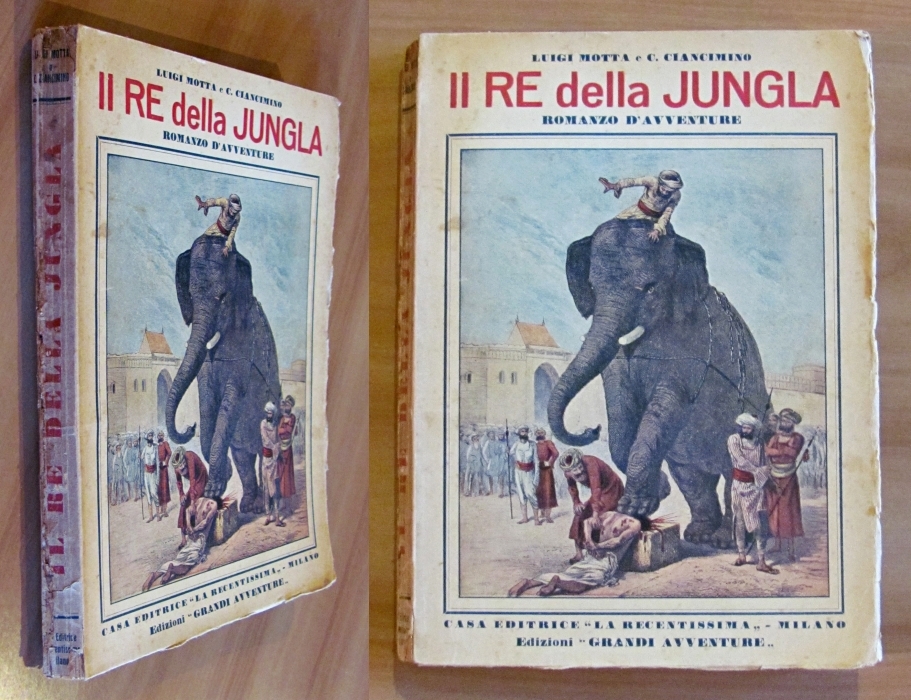 IL RE DELLA JUNGLA - Romanzo d'Avventure