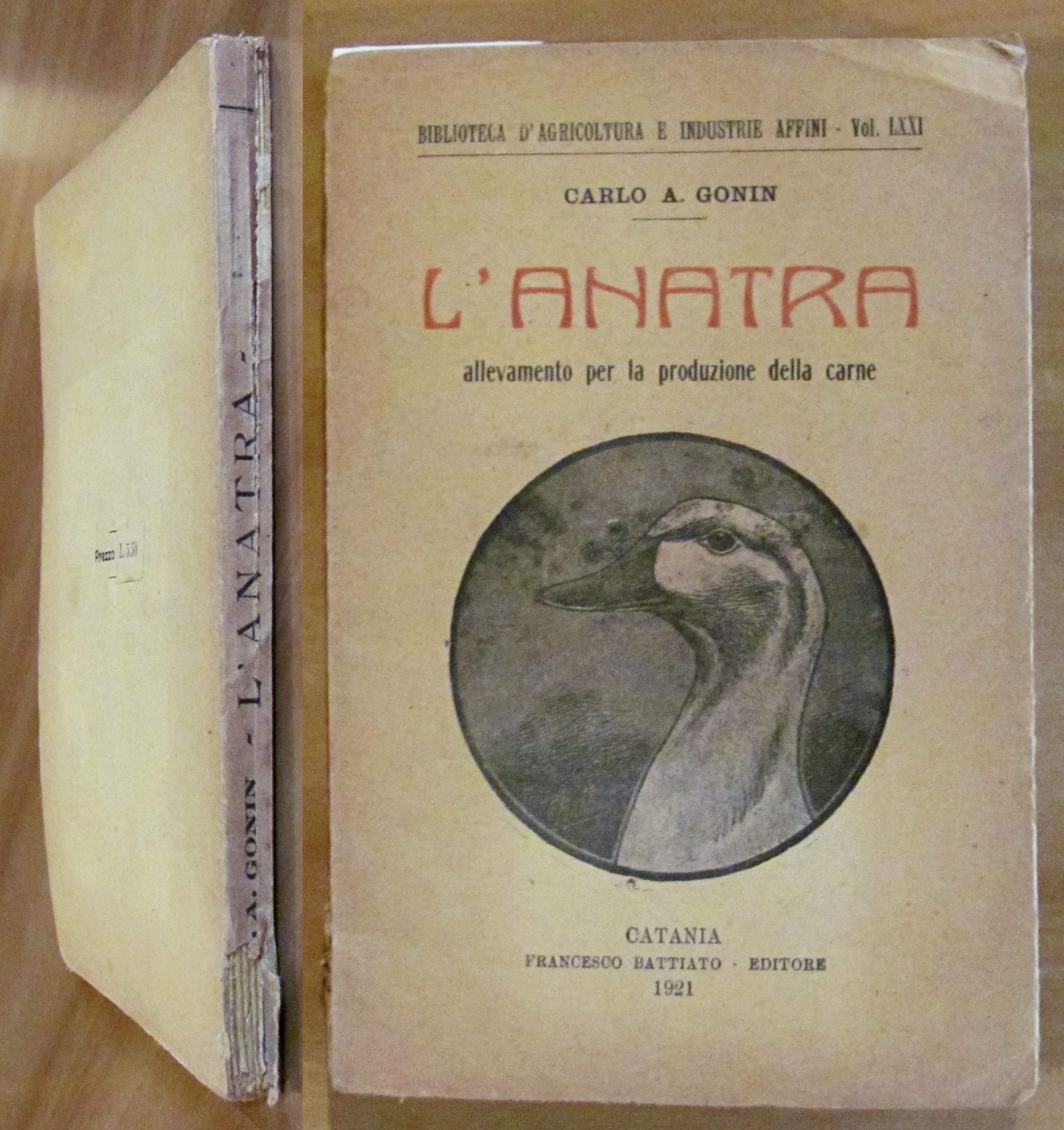 L'ANATRA - Allevamento per la produzione della carne , 1921