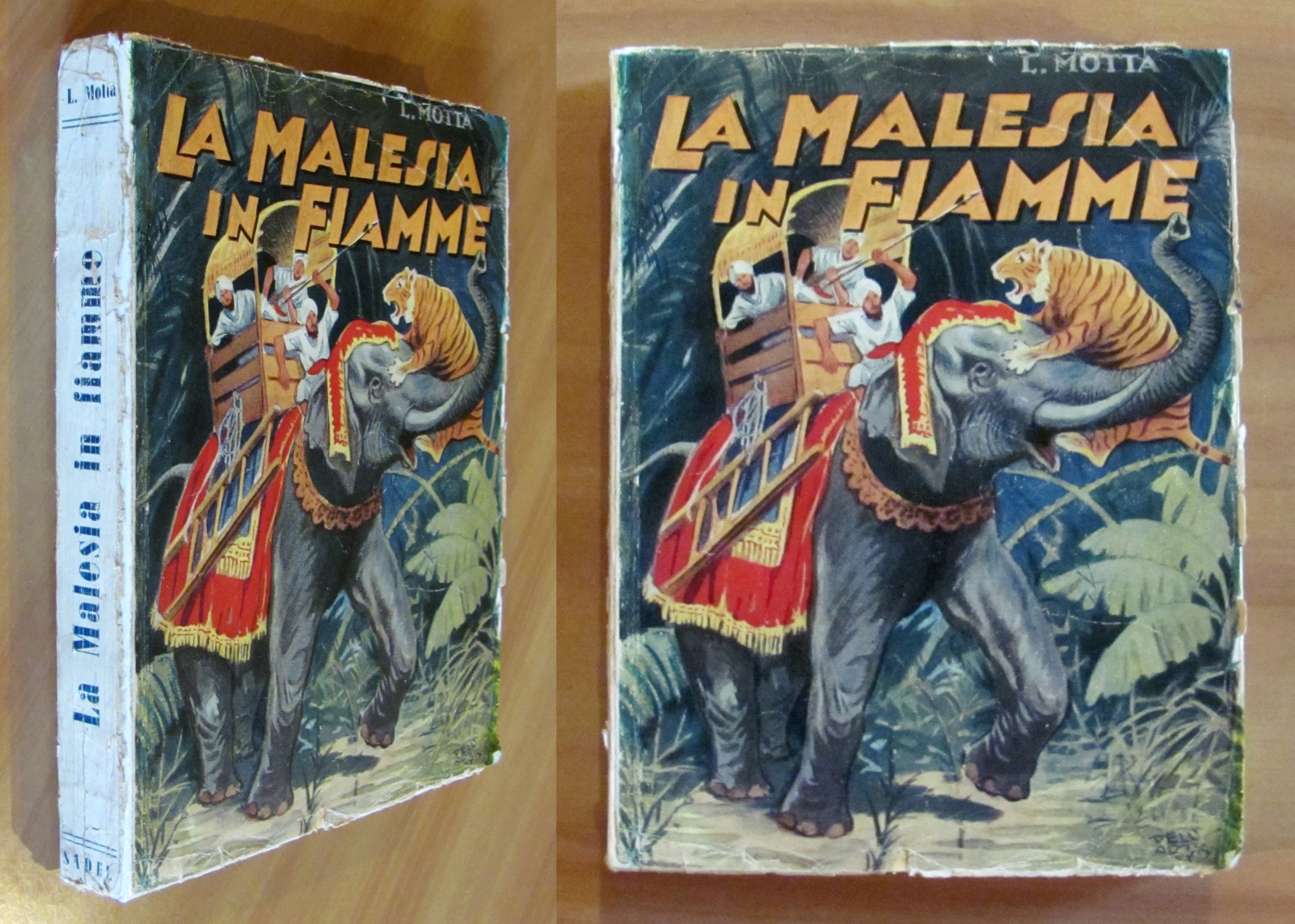 LA MALESIA IN FIAMME