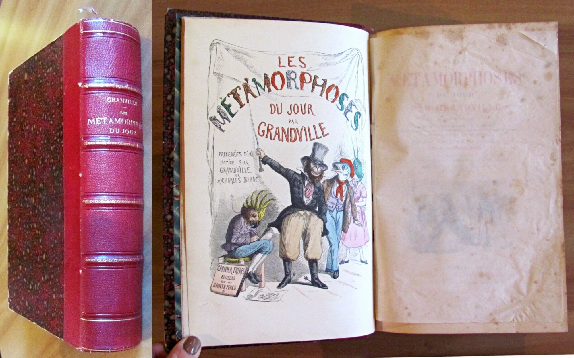 LES METAMORPHOSES DU JOUR, 1869