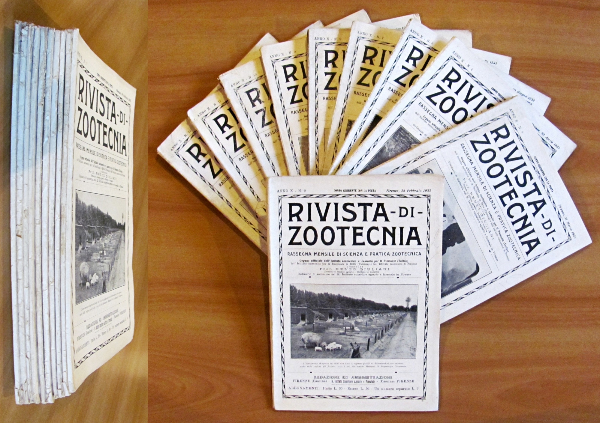RIVISTA DI ZOOTECNICA - Annata Completa 1933 (1/12 meno N.2 …