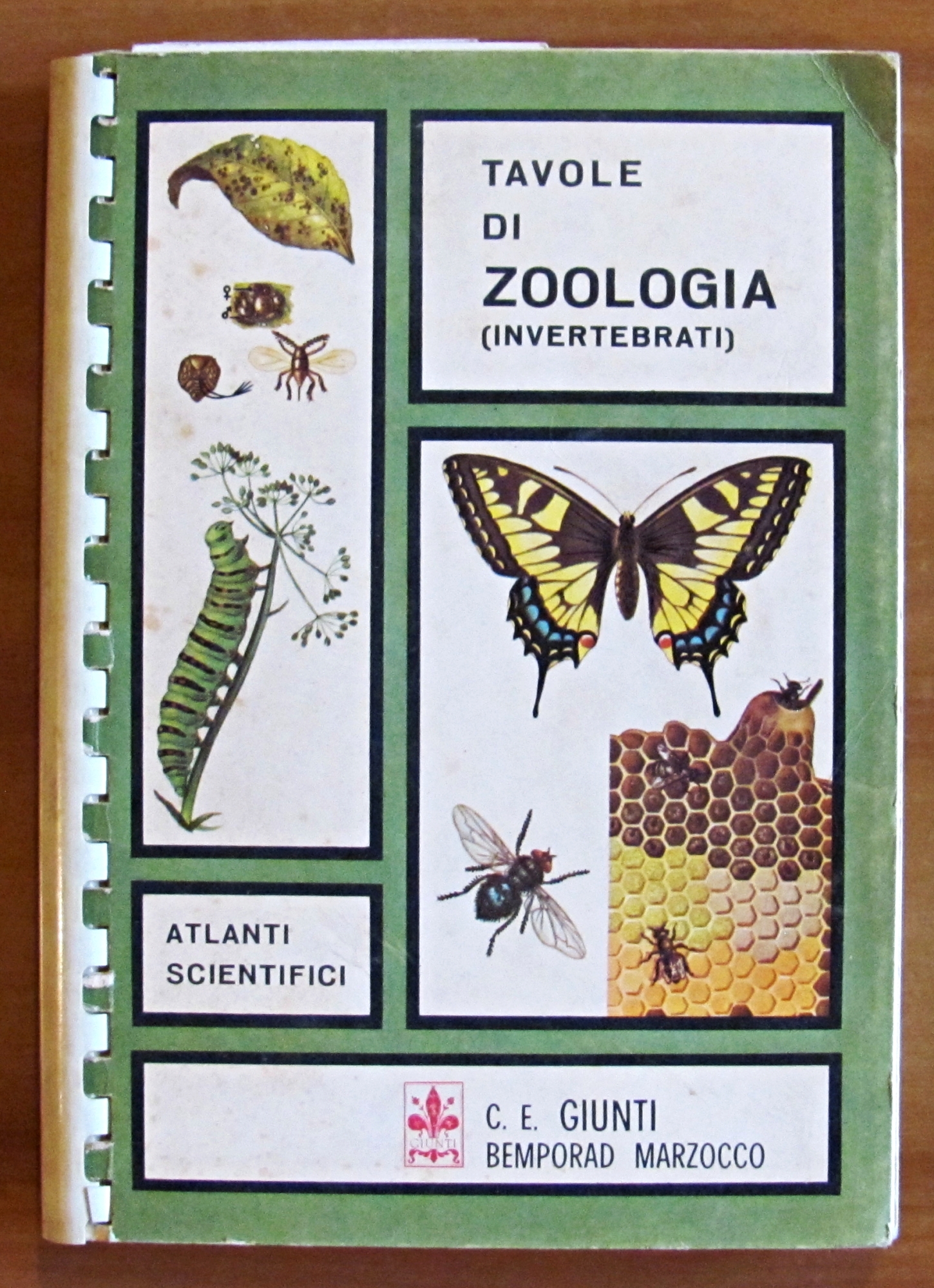 TAVOLE DI ZOOLOGIA - Invertebrati, I ed. 1969