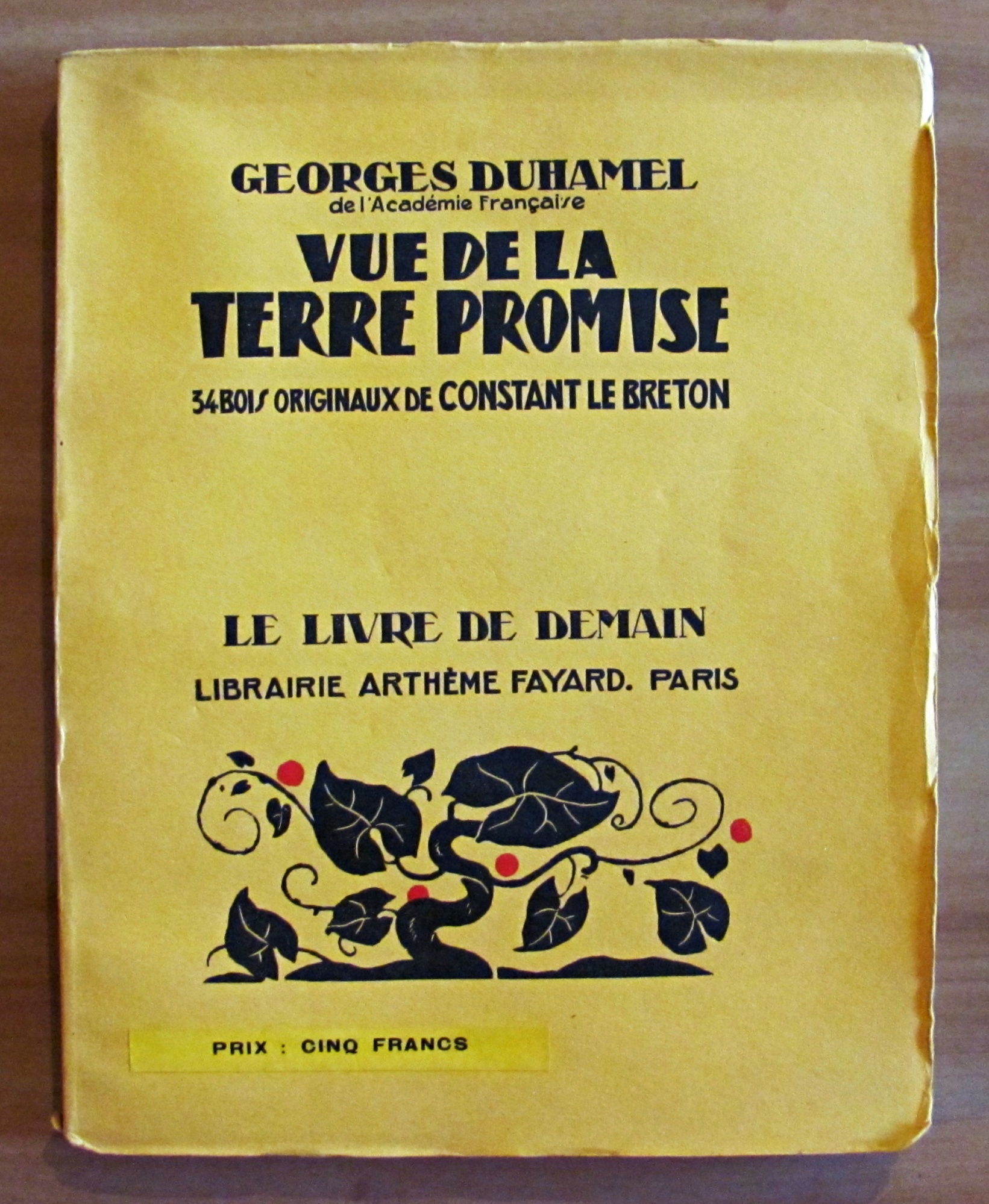 VUE DE LA TERRE PROMISE