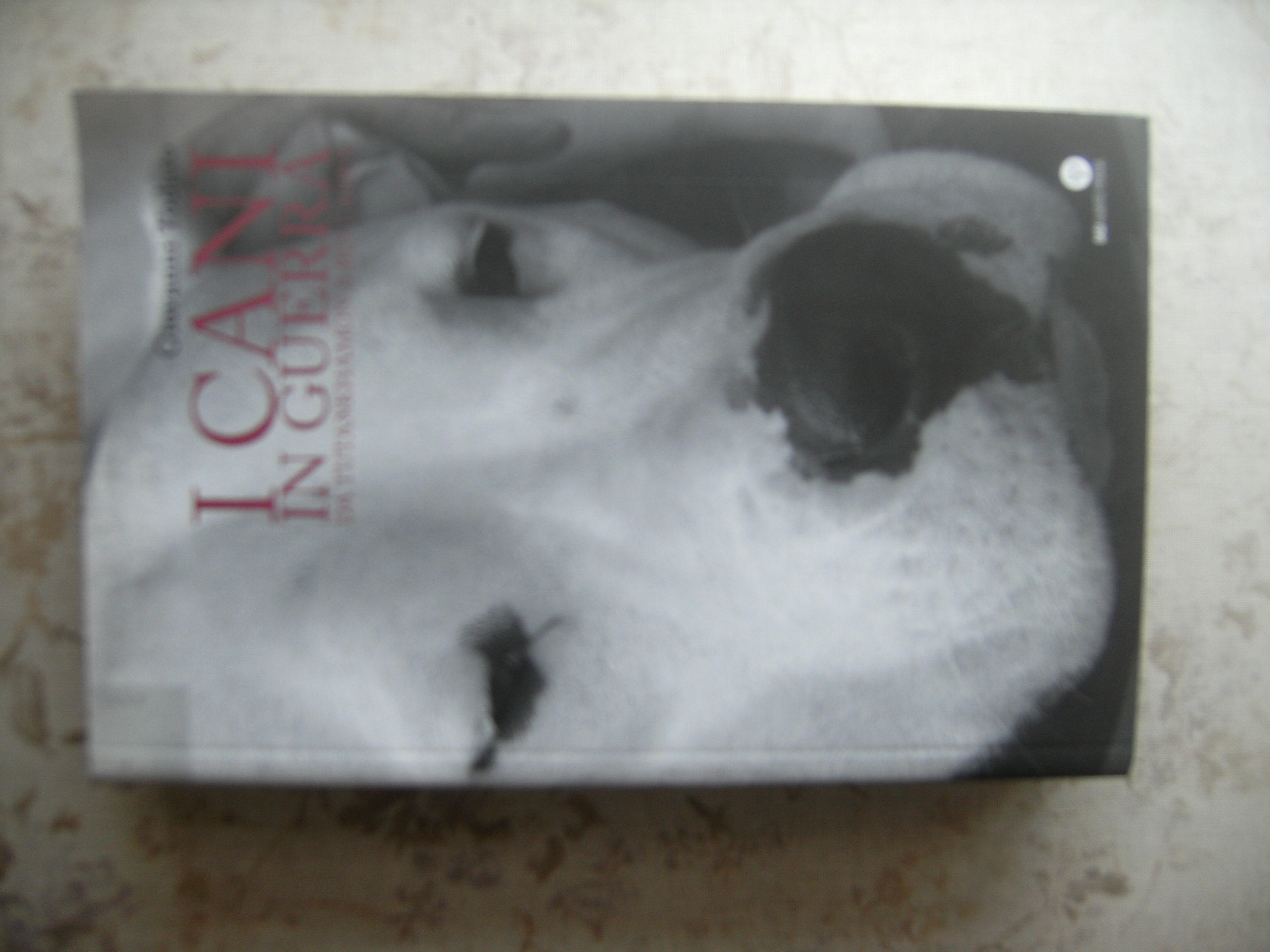I CANI IN GUERRA DA TUTANKHAMON A BIN LADEN