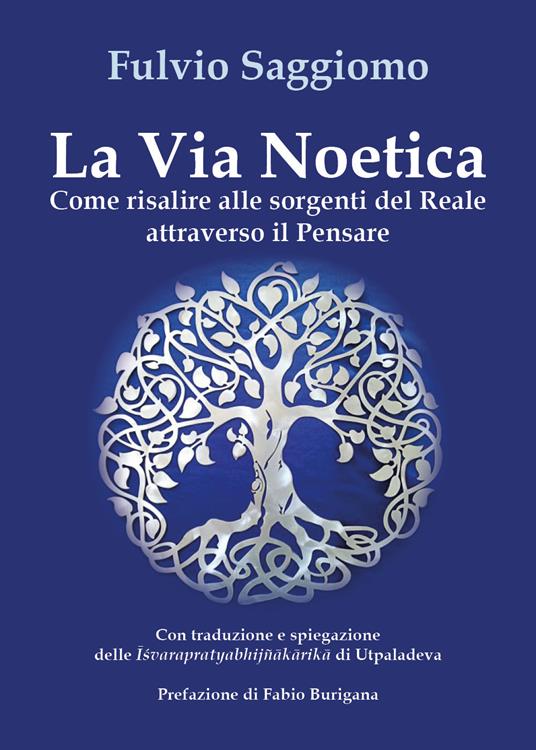 La via noetica