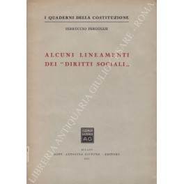 Alcuni lineamenti dei diritti sociali"