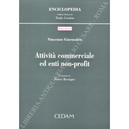 Attivitˆ commerciale ed enti non-profit. Prefazione di Pietro Rescigno