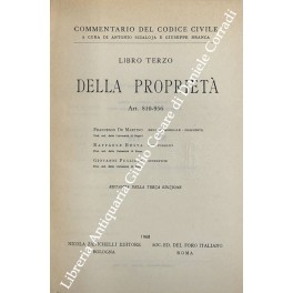 Beni in generale. Proprietà (De Martino). Beni pubblici (Resta). Superficie …