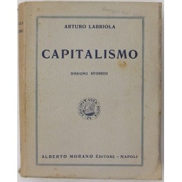 Capitalismo. Disegno storico