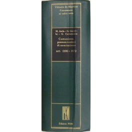 Comunione, possesso e azioni di nunciazione. Art. 1100-1172
