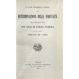 Di alcune fondamentali questioni sulla determinazione della indennità nelle espropriazioni …