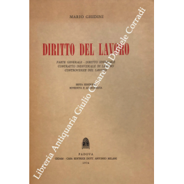 Diritto del lavoro. Parte generale - Diritto sindacale, contratto individuale …