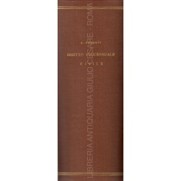 Diritto processuale civile. Vol. I - Nozioni e regole generali. …