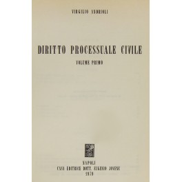 Diritto processuale civile. Vol. I (Unico pubblicato)