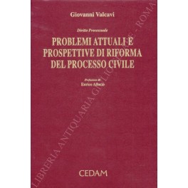 Diritto processuale. Problemi attuali e prospettive di riforma del processo …