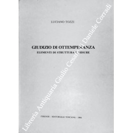 Giudizio di ottemperanza. Elementi di struttura e misure
