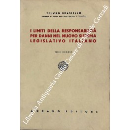 I limiti della responsabilità per danni nel nuovo sistema legislativo …