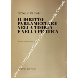 Il diritto parlamentare nella teoria e nella pratica
