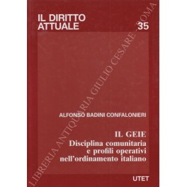 Il geie. Disciplina comunitaria e profili operativi nell'ordinamento italiano