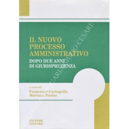 Il nuovo processo amministrativo dopo due anni di giurisprudenza