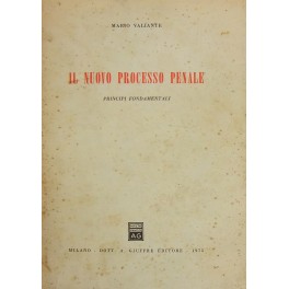 Il nuovo processo penale. Principi fondamentali