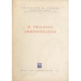 Il processo amministrativo. Scritti in onore di Giovanni Miele