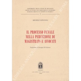 Il processo penale nella percezione di magistrati e avvocati. Prefazione …