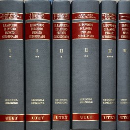 Il rapporto di lavoro privato subordinato. Vol. I (tomo primo …