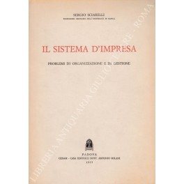 Il sistema d'impresa. Problemi di organizzazione e di gestione