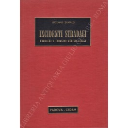 Incidenti stradali. Problemi e indagini medico-legali. Prefazione di Aldo Franchini