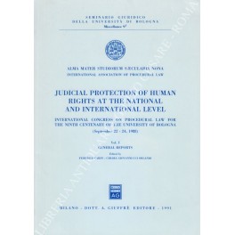 Judicial protection of human rights at the national and international …