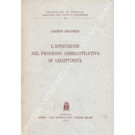 L'istruzione nel processo amministrativo di legittimita