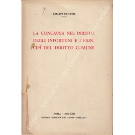 La concausa nel diritto degli infortuni e i principi del …