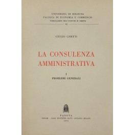La consulenza amministrativa. Vol. I - Problemi generali