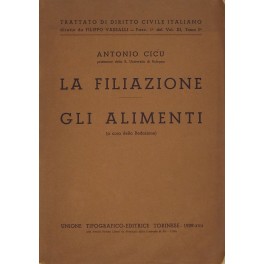 La filiazione. Gli alimenti (a cura della Redazione)