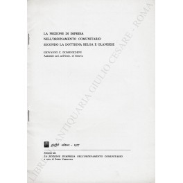 La nozione di impresa nell'ordinamento comunitario secondo la dottrina belga …