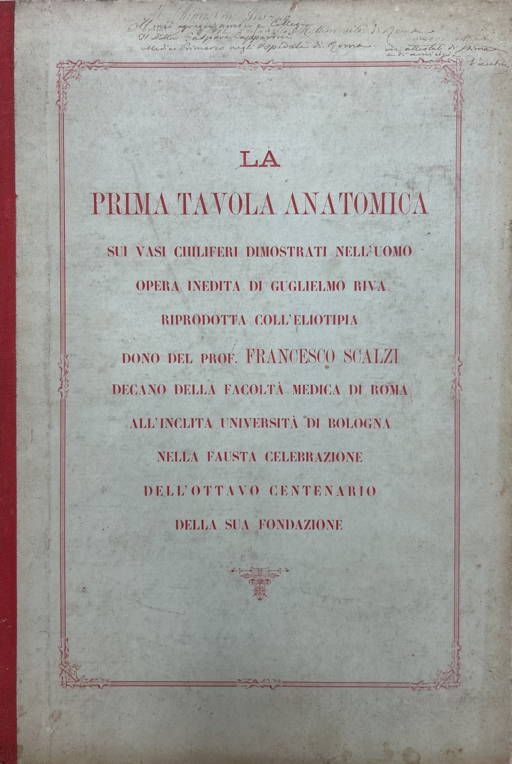 La prima tavola anatomica sui vasi chiliferi dimostrati nell'uomo. Opera …