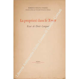 La propriete dans le Trust. Essai de Droit Compare