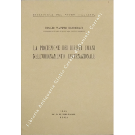 La protezione dei diritti umani nell'ordinamento internazionale