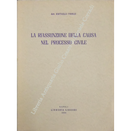 La riassunzione della causa nel processo civile