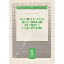 La tutela giuridica delle topografie dei prodotti a semiconduttori